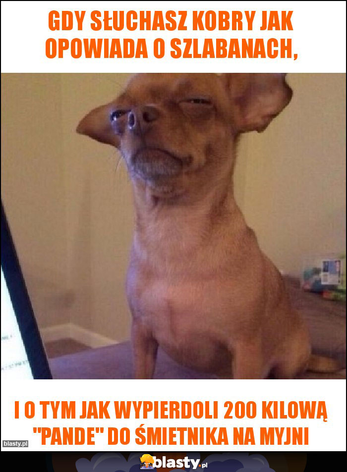 Gdy słuchasz kobry jak opowiada o szlabanach,