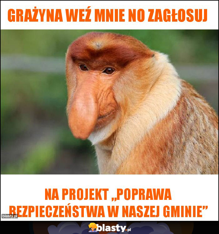 Grażyna weź mnie no zagłosuj