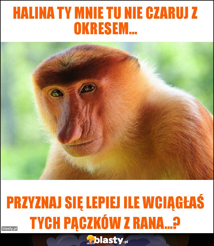 Halina Ty mnie tu nie czaruj z okresem...