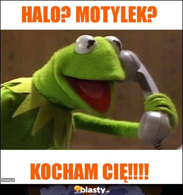 Halo? Motylek?