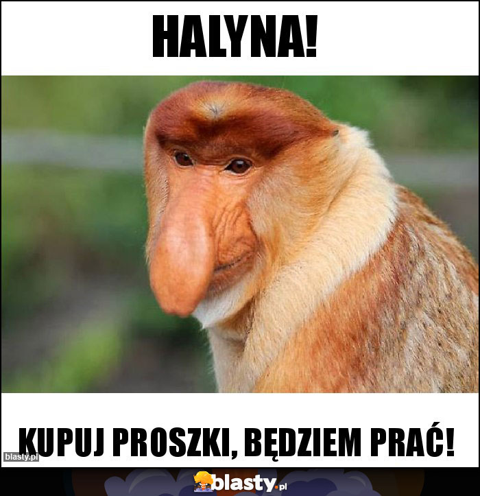 Halyna!