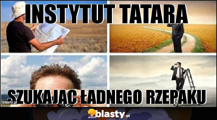 Instytut tatara