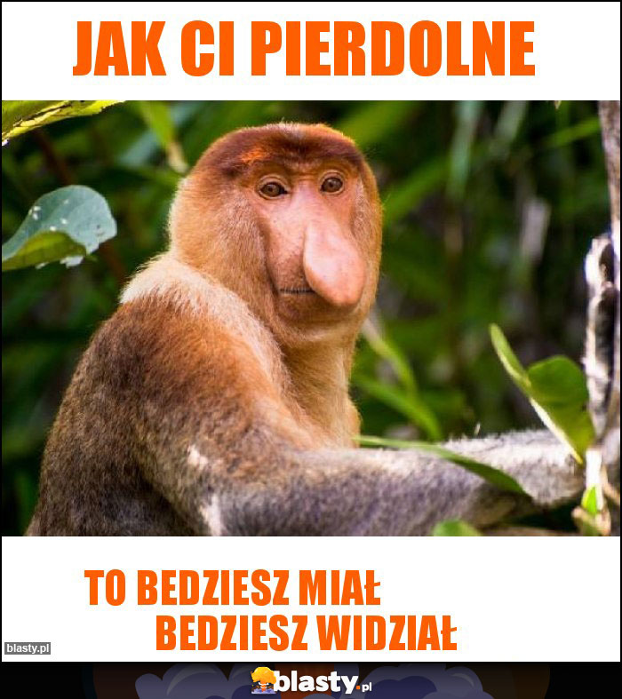 JAK CI PIERDOLNE
