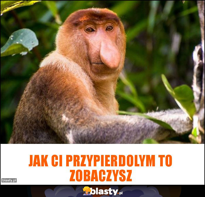 JAK CI PRZYPIERDOLYM TO ZOBACZYSZ