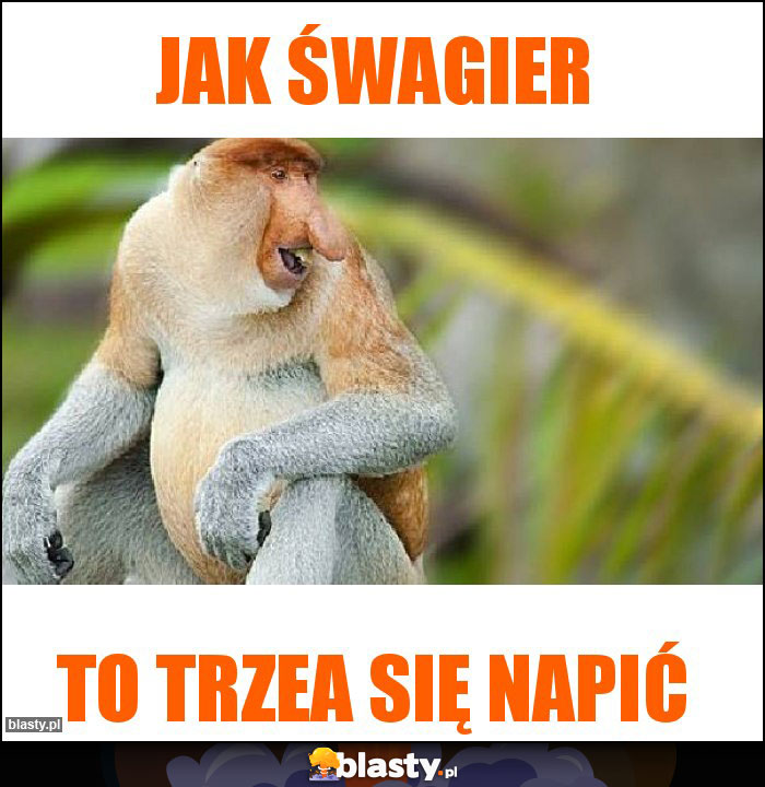 Jak śwagier