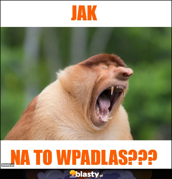 Jak
