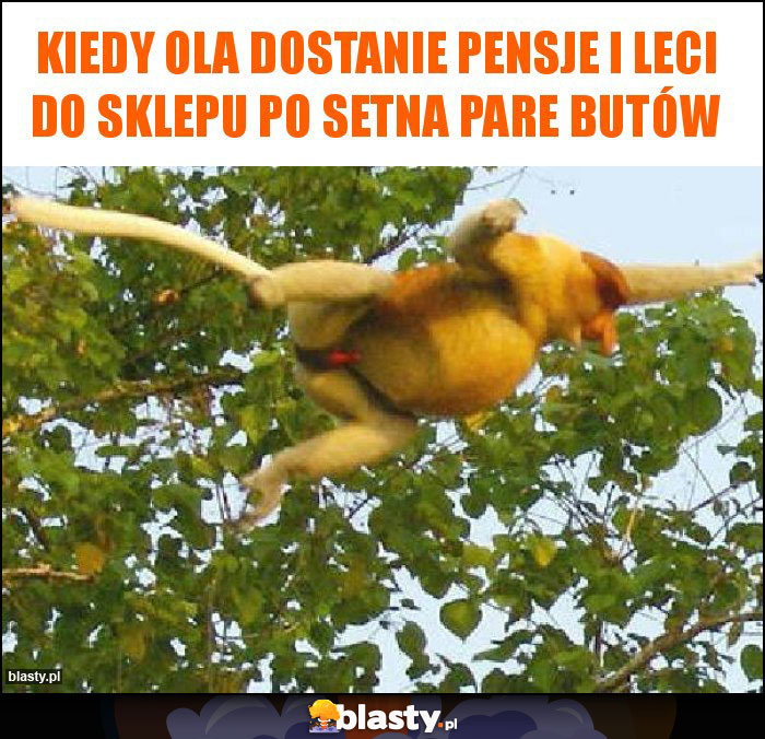 Kiedy Ola dostanie pensje i leci do sklepu po setna pare butów