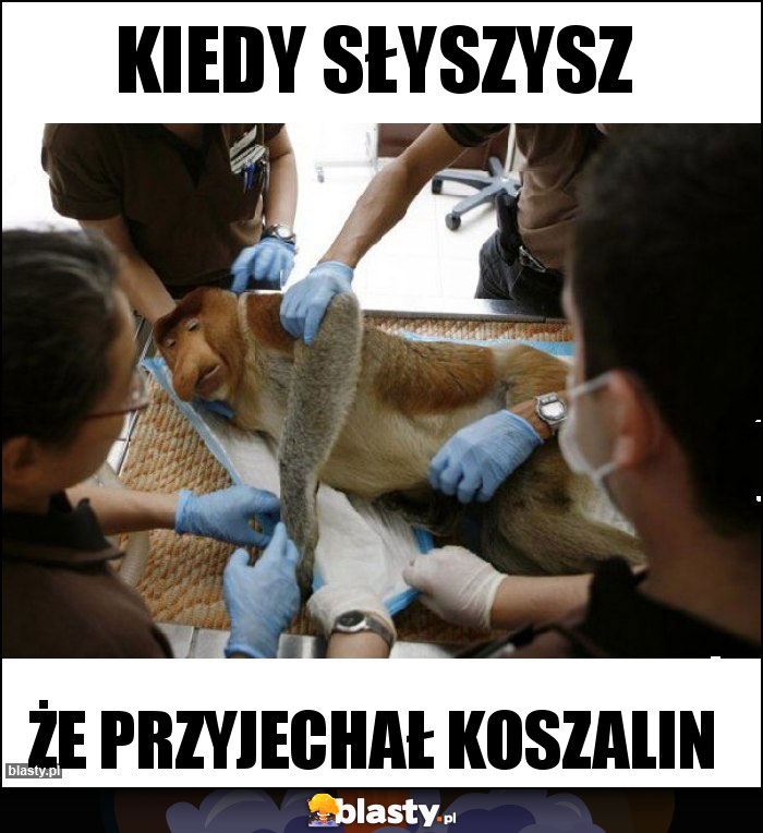 Kiedy słyszysz