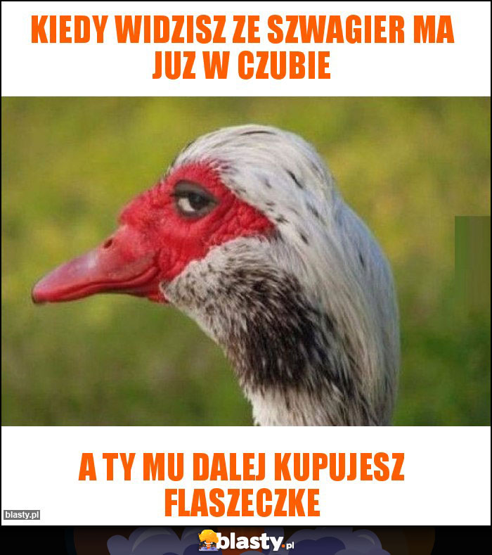 Kiedy widzisz ze szwagier ma juz w czubie