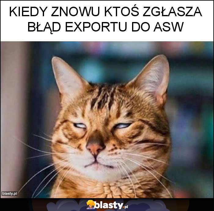 Kiedy znowu ktoś zgłasza błąd exportu do ASW