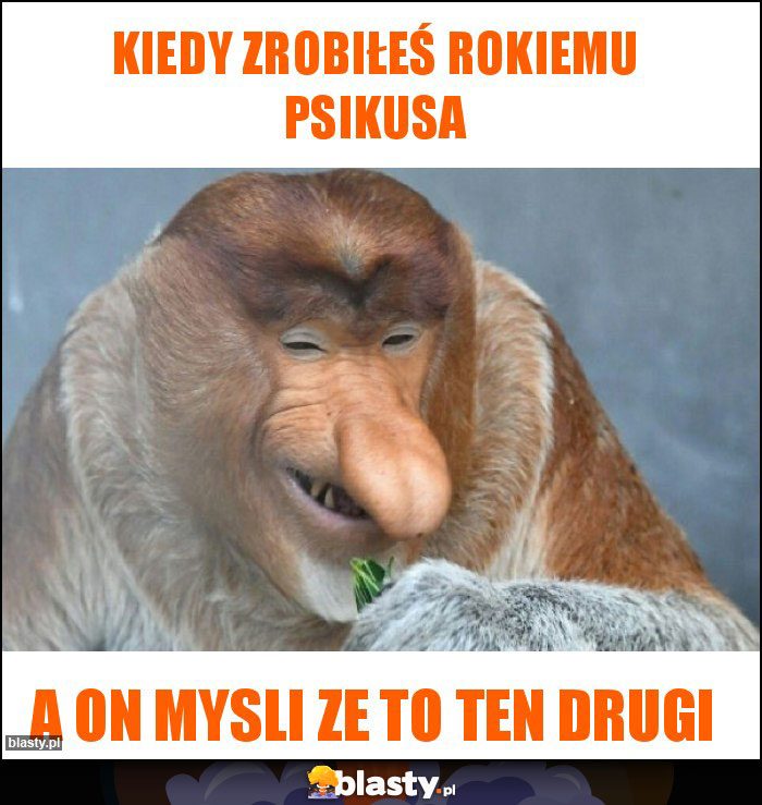 kiedy zrobiłeś Rokiemu psikusa