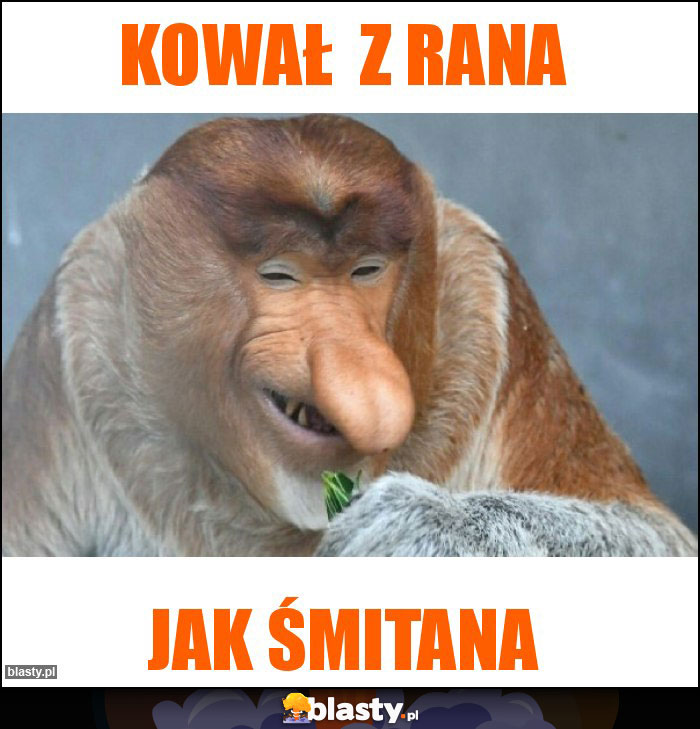 Kował  z rana