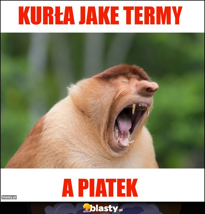 Kurła Jake termy