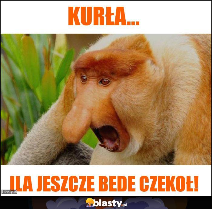 KURŁA...