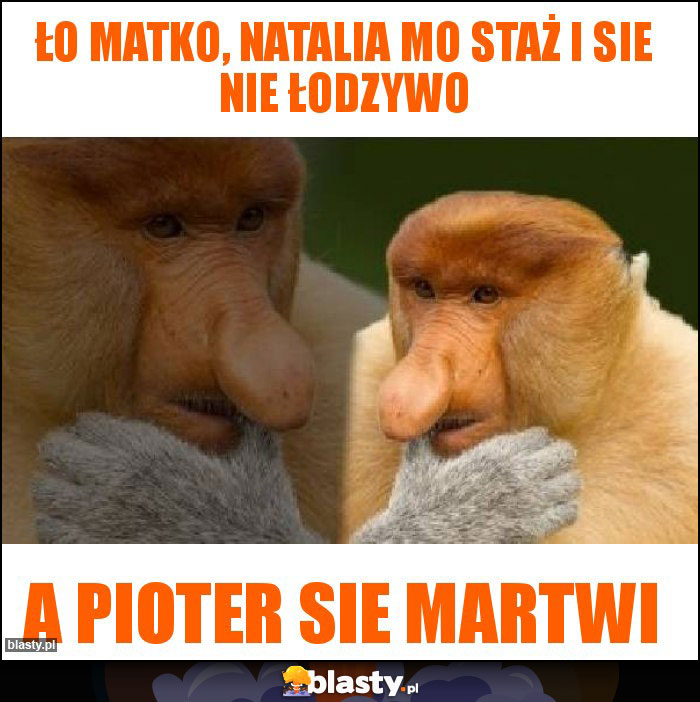 Ło matko, Natalia mo staż i sie nie łodzywo