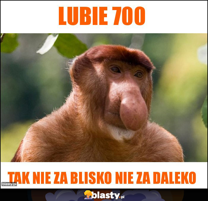 Lubie 700