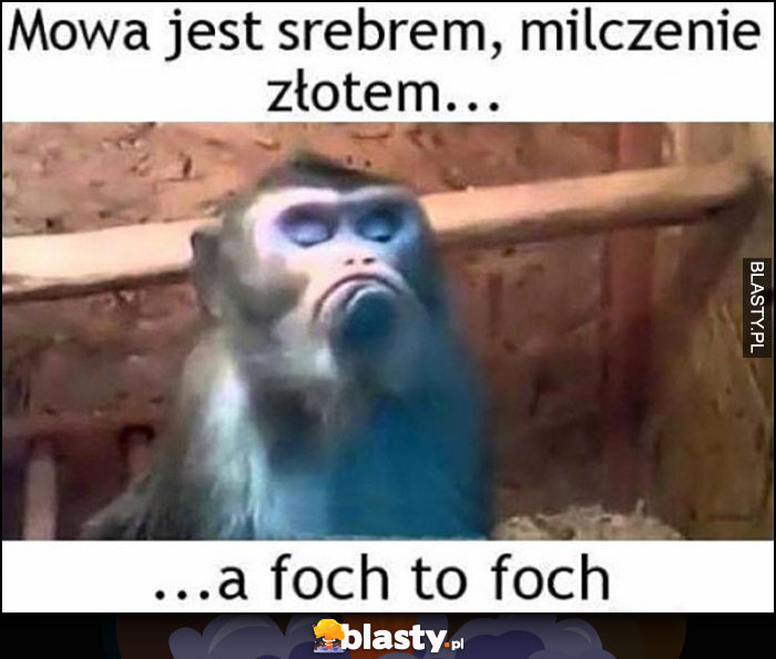 20+ memów - milczenie najlepsze śmieszne memy i demotywatory ...