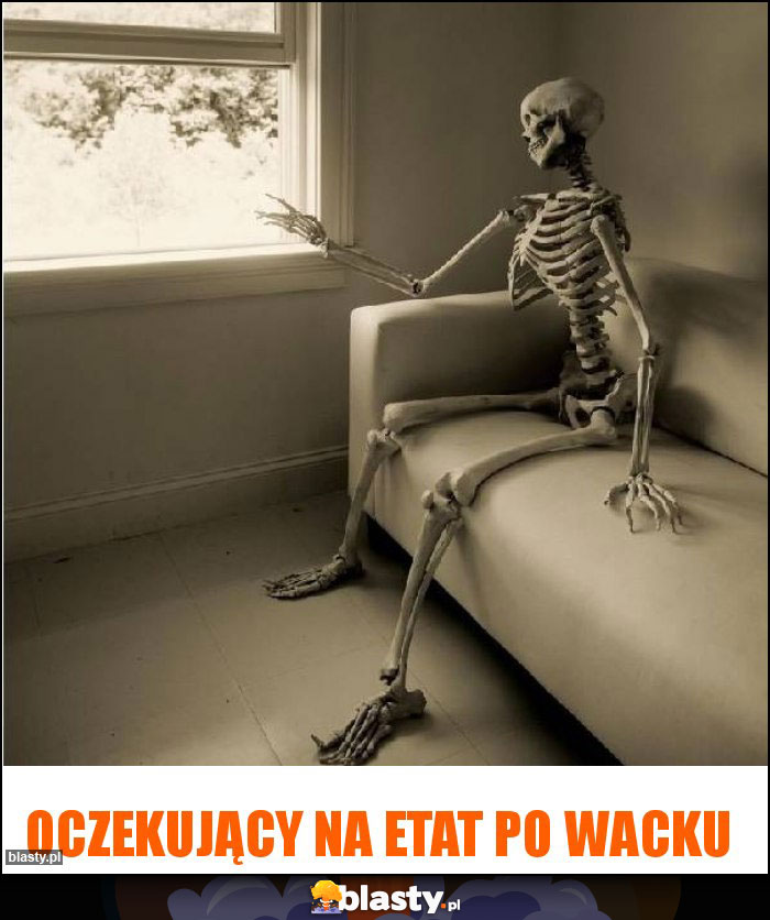 Oczekujący na etat po Wacku