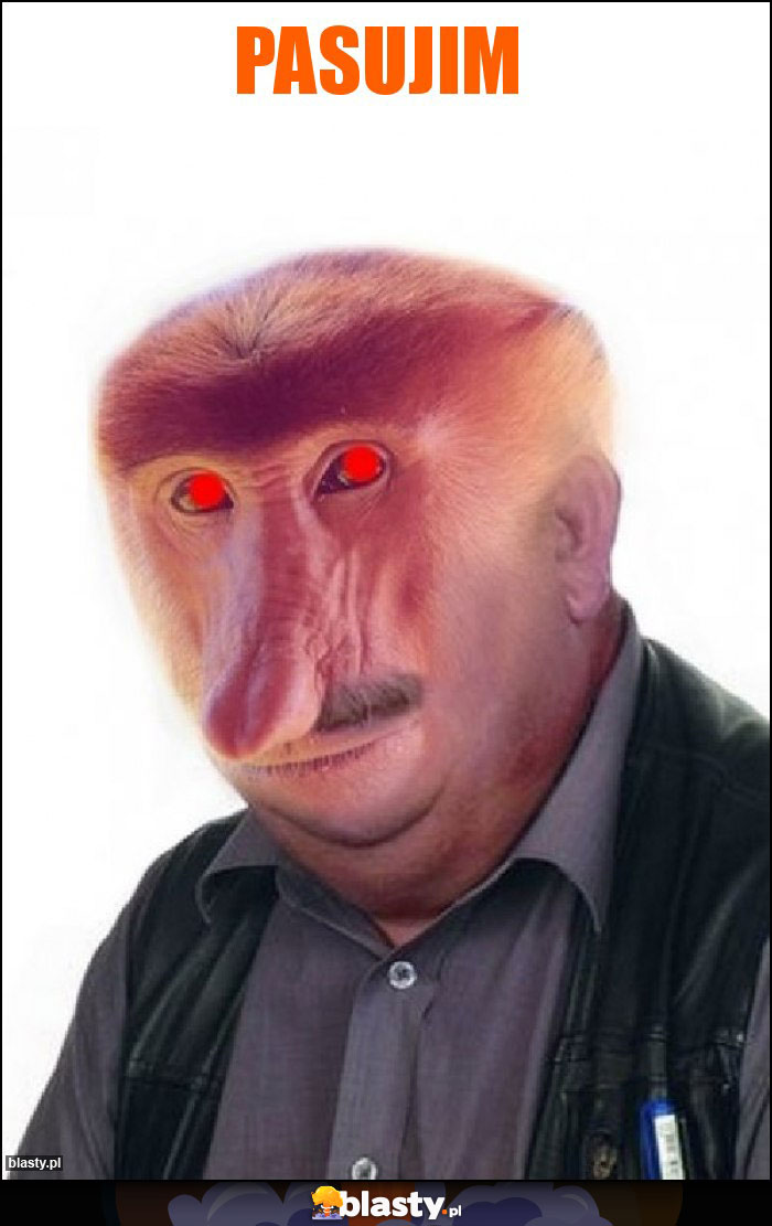 Pasujim