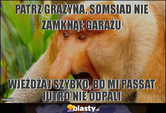 Patrz Grażyna, somsiad nie zamknął garażu