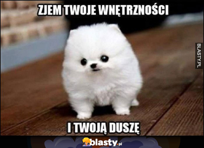 Pies zjem Twoje wnętrzności i Twoją duszę