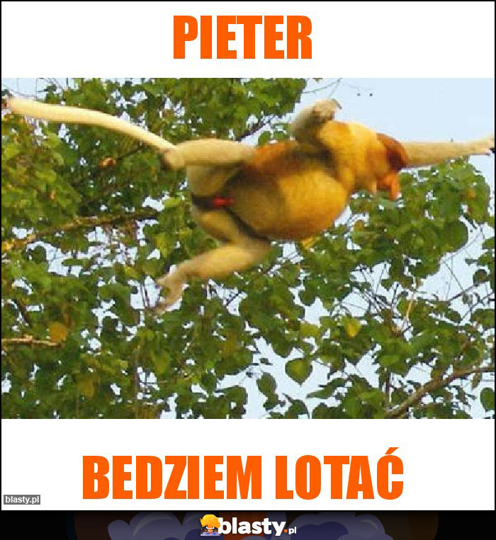 Pieter