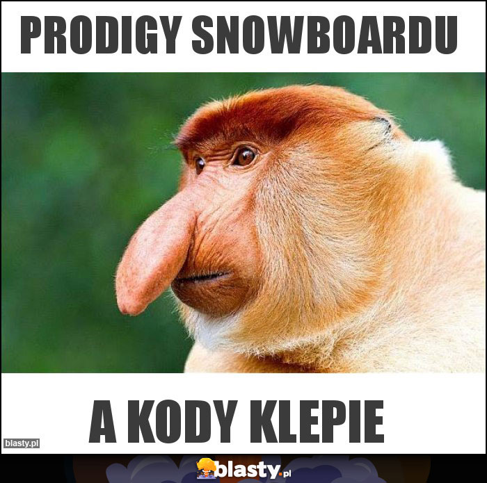 Prodigy Snowboardu
