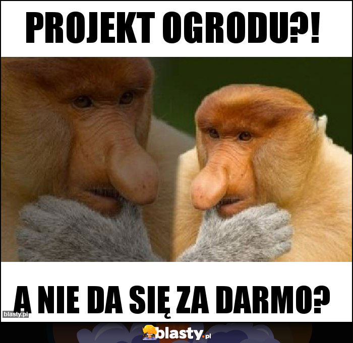 Projekt ogrodu?!