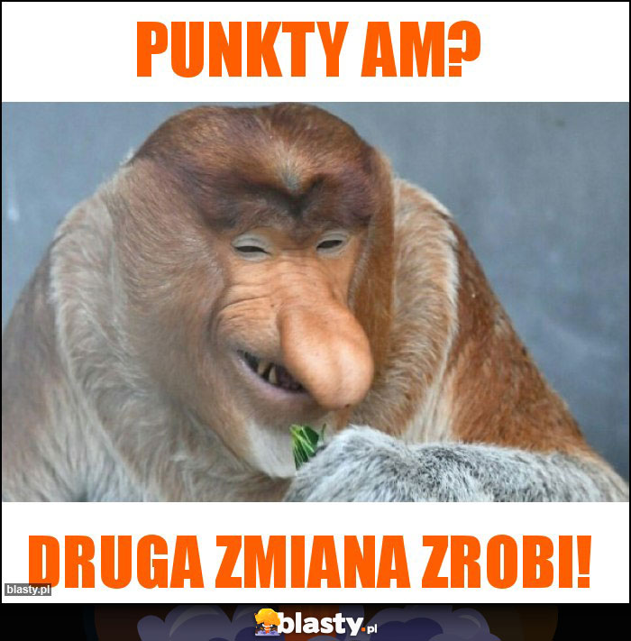 punkty AM?