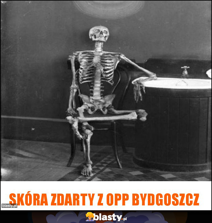 Skóra zdarty z OPP Bydgoszcz