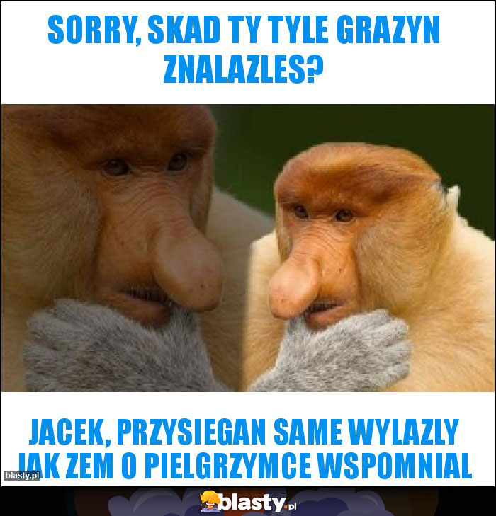 Sorry, skad ty tyle grazyn znalazles?