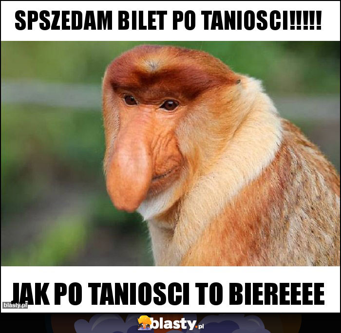 SPSZEDAM BILET PO TANIOSCI!!!!!