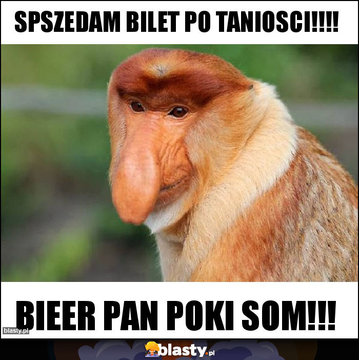 SPSZEDAM BILET PO TANIOSCI!!!!