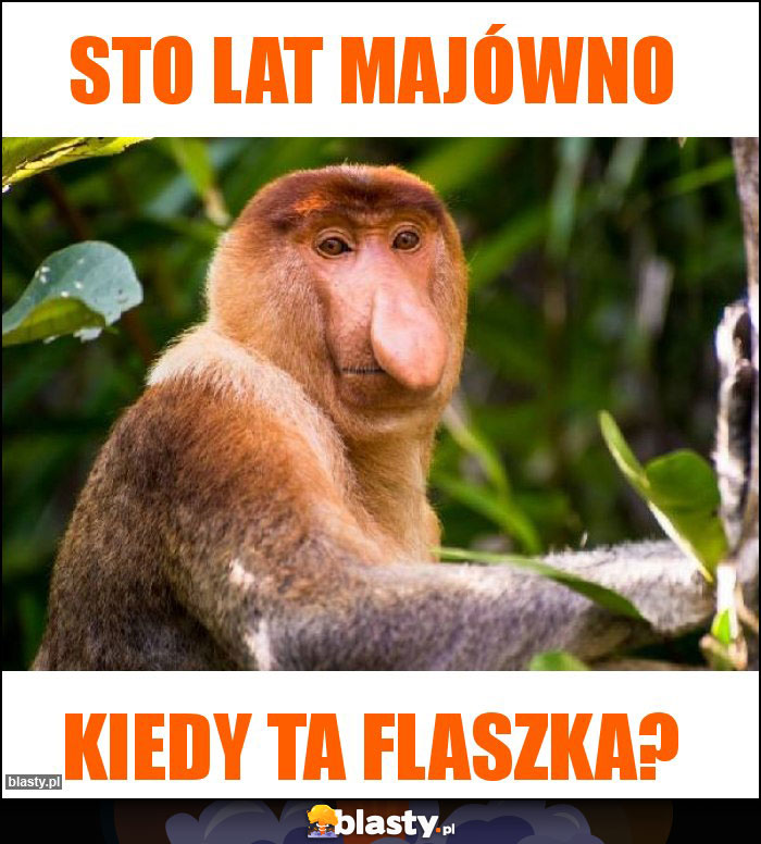 Sto lat Majówno