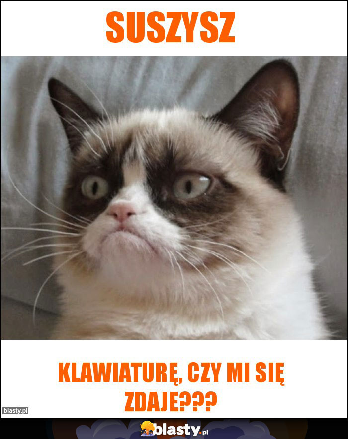 Suszysz