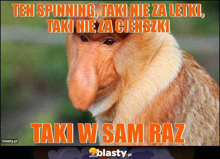TEN SPINNING, TAKI NIE ZA LETKI, TAKI NIE ZA CIENSZKI