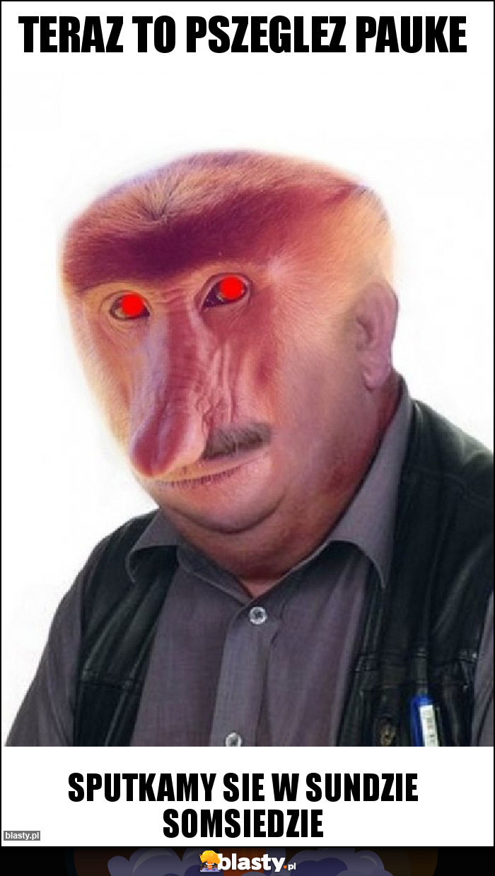 Teraz to pszeglez pauke