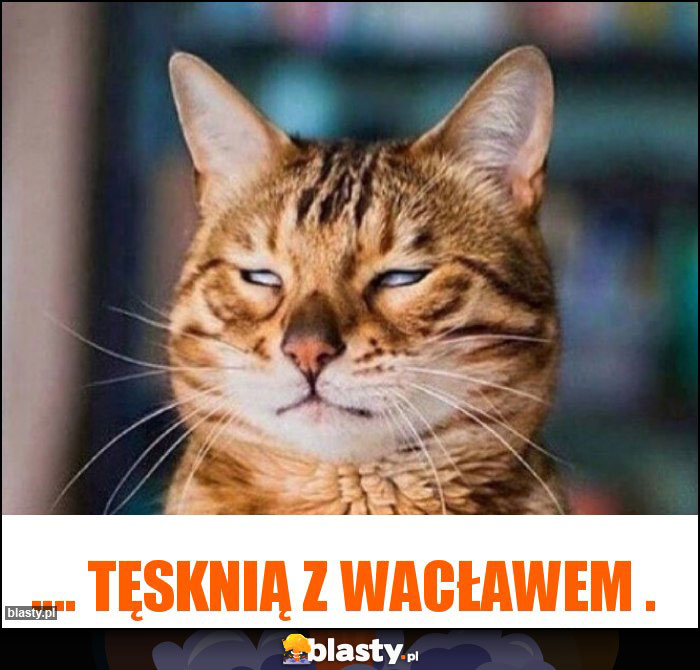 .... tęsknią z Wacławem .