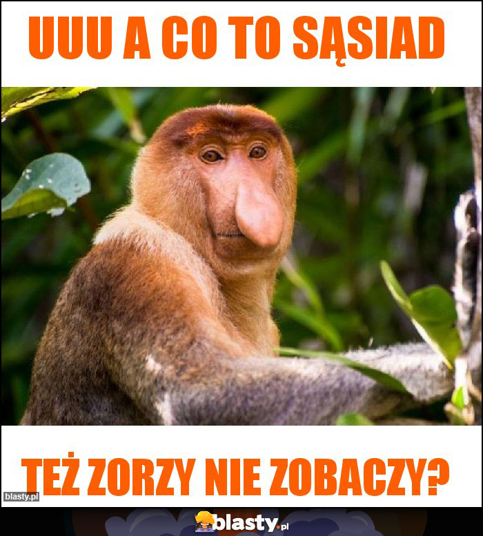 Uuu a co to sąsiad