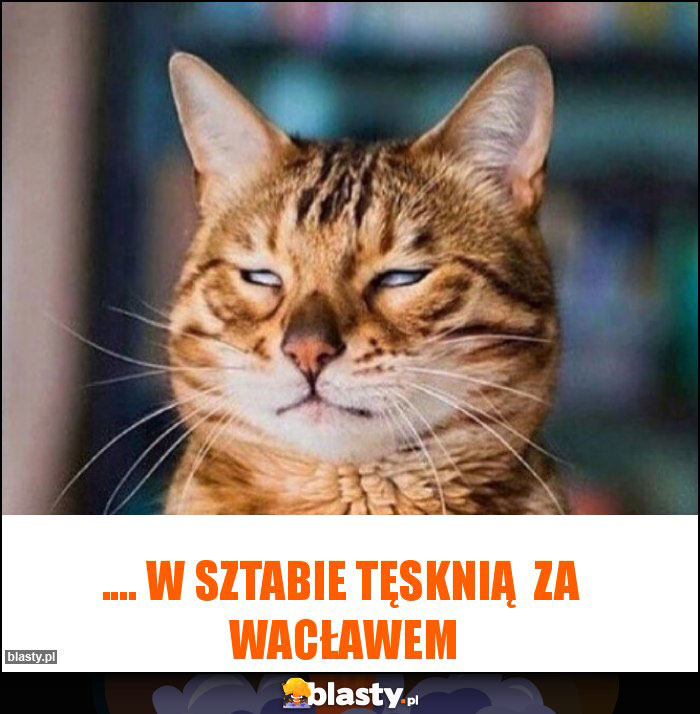 .... w Sztabie tęsknią  za  Wacławem