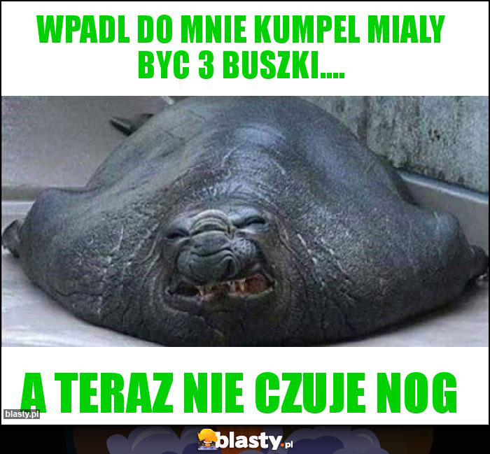 Wpadl do mnie kumpel mialy byc 3 buszki....
