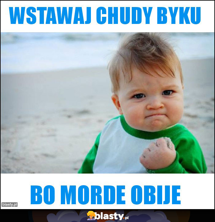 Wstawaj chudy byku