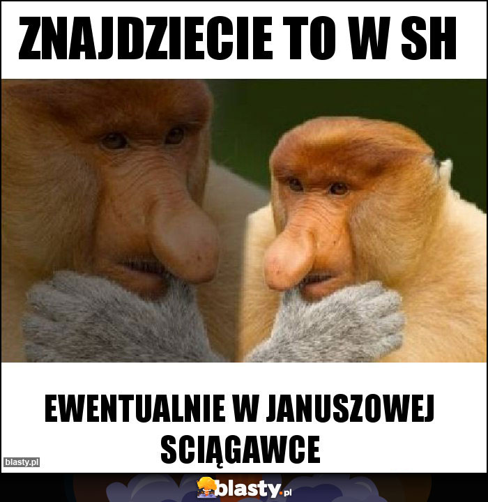Znajdziecie to w SH