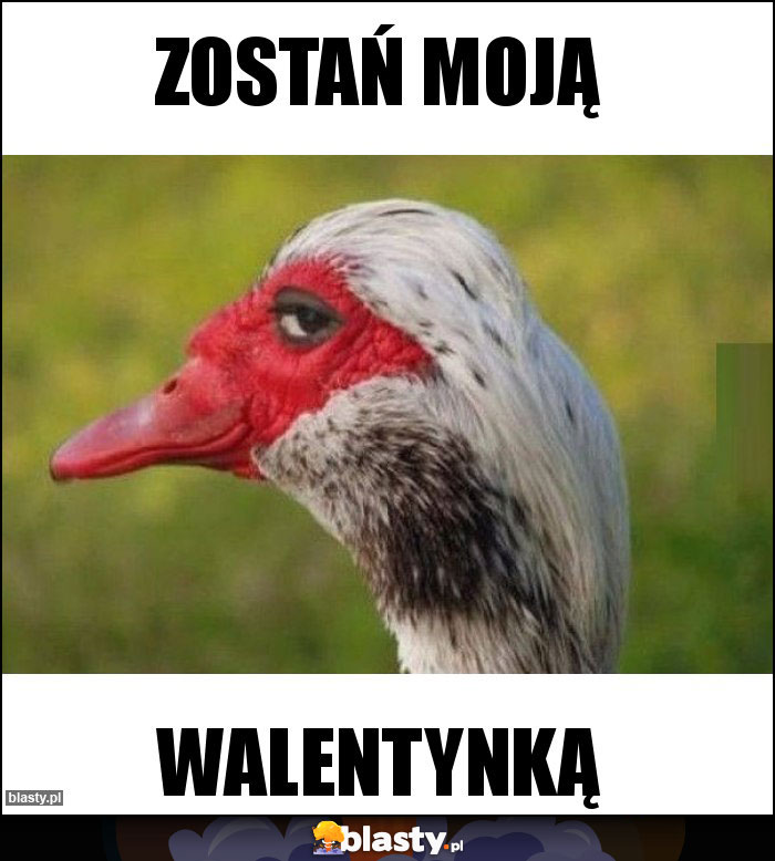 Zostań moją