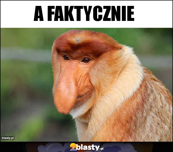 A FAKTYCZNIE