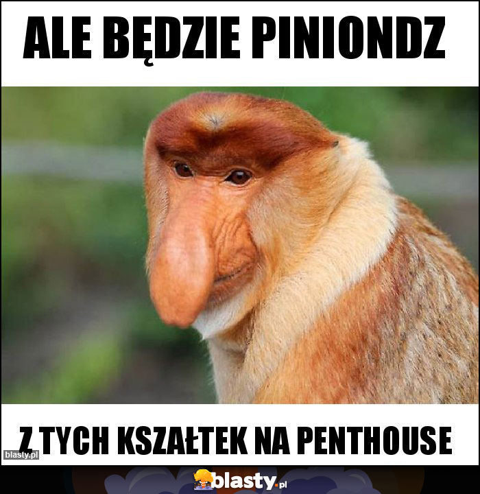 Ale będzie piniondz