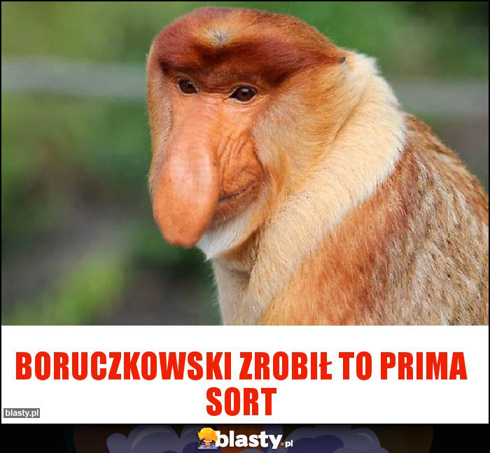 Boruczkowski zrobił to prima sort