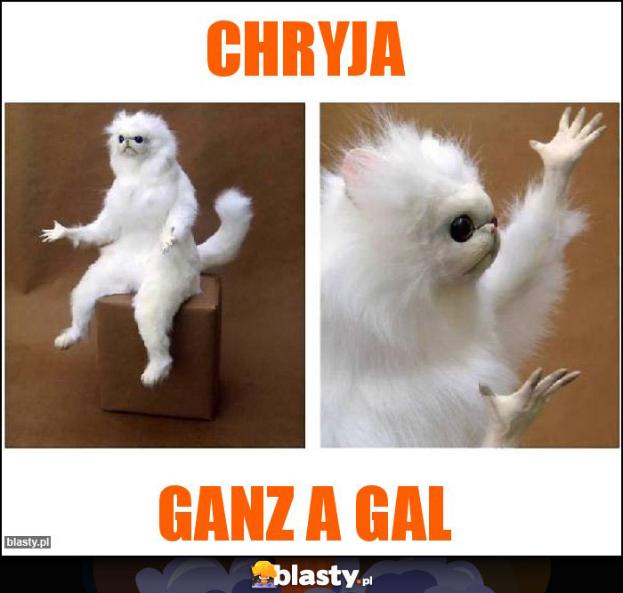 Chryja
