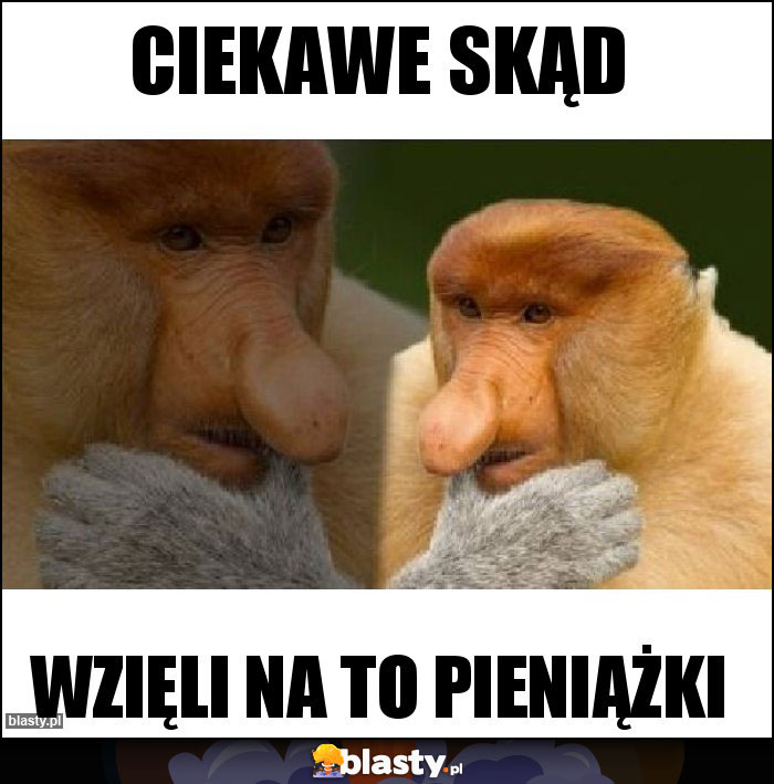 ciekawe skąd
