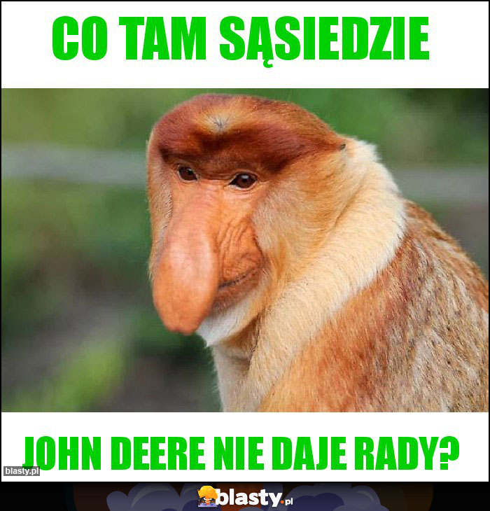co tam sąsiedzie